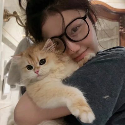 神探驸马请接嫁